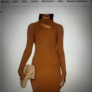 Aeron Elegant Tan Knit Dress